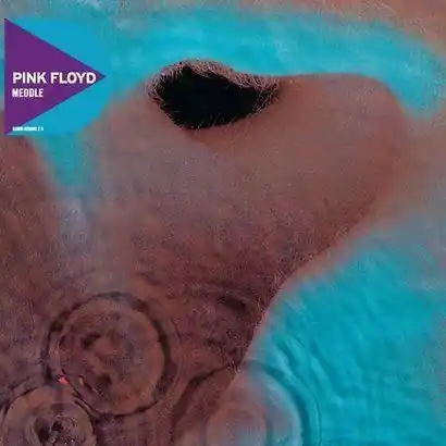 Tylko do końca tygodnia PINK FLOYD MEDDLE (CD)