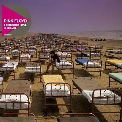 Ekspresowa dostawa PINK FLOYD A MOMENTARY LAPSE OF REASON (CD)