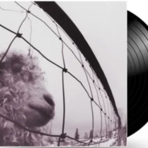 PEARL JAM VS. (LP WINYL) Taniej