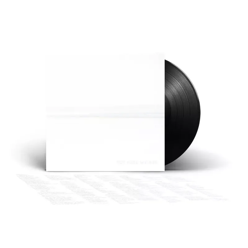 FOO FIGHTERS BUT HERE WE ARE (LP VINYL) Tani