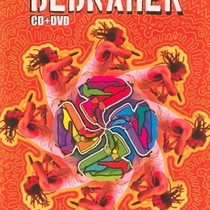 BEDNAREK PRZYSTANEK WOODSTOCK 2013 (DVD) Darmowy zwrot
