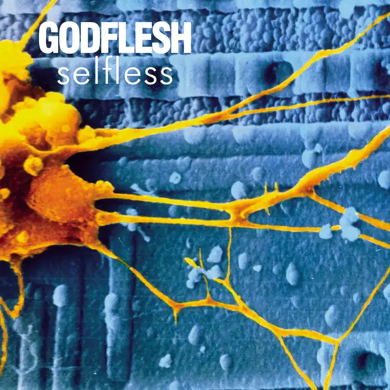 Tylko do końca tygodnia GODFLESH SELFLESS (CD)