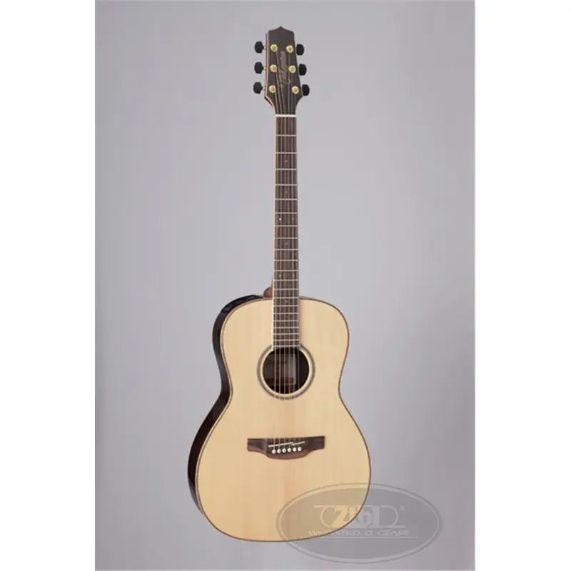 Takamine GY93E-NAT Tani
