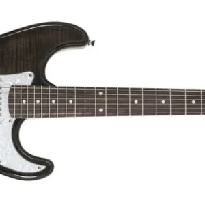 Dodaj do koszyka WASHBURN SD (FTB)