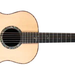 Tani WASHBURN BTS 24 S (N) - gitara akustyczna